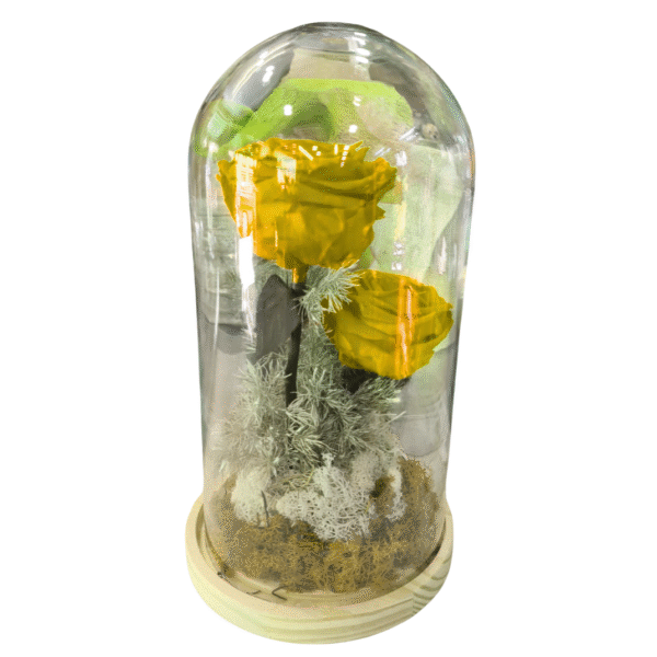 Rosa Eterna en Campana de Cristal (XL)
