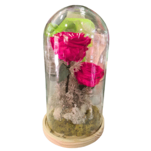 Rosa Eterna en Campana de Cristal (XL)
