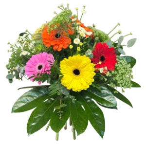 Gerberas Mix