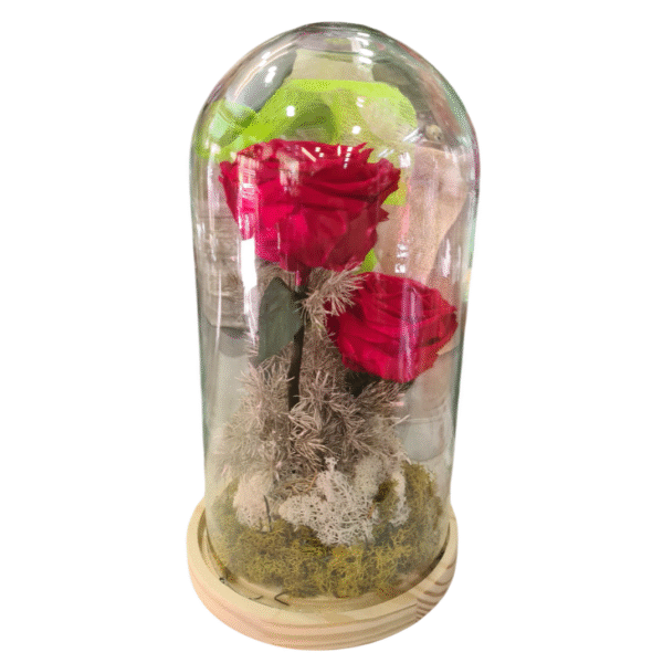 Rosa Eterna en Campana de Cristal (XL)