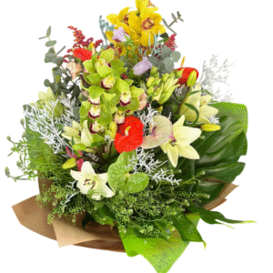 Jardín de Orquídeas