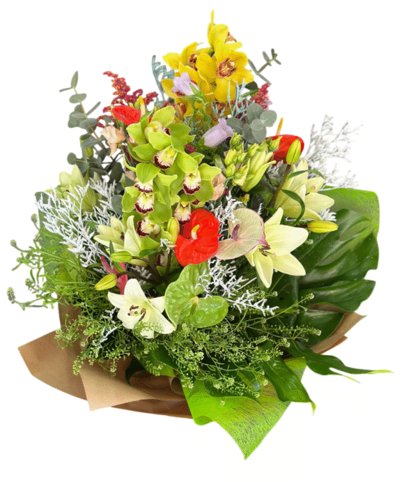 Jardín de Orquídeas