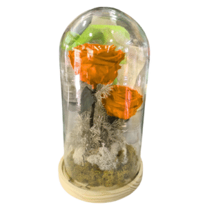 Rosa Eterna en Campana de Cristal (XL)