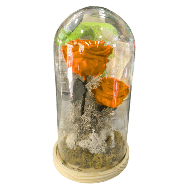 Rosa Eterna en Campana de Cristal (XL)