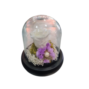 Rosa Eterna en Campana de Cristal (S)