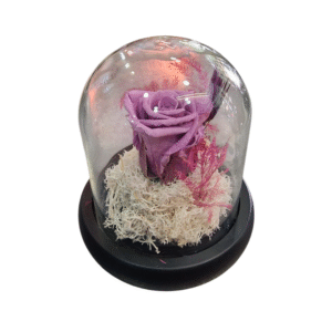 Rosa Eterna en Campana de Cristal (S)
