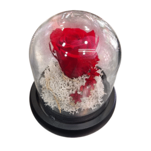 Rosa Eterna en Campana de Cristal (S)