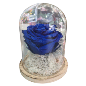 Rosa Eterna en Campana de Cristal (L)
