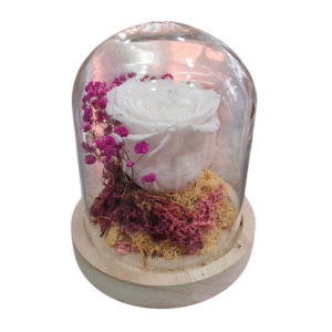 Rosa Eterna en Campana de Cristal (L)