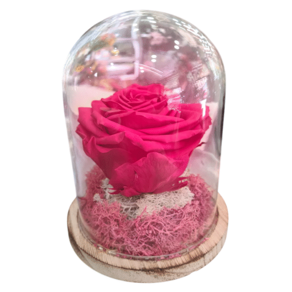 Rosa Eterna en Campana de Cristal (L)
