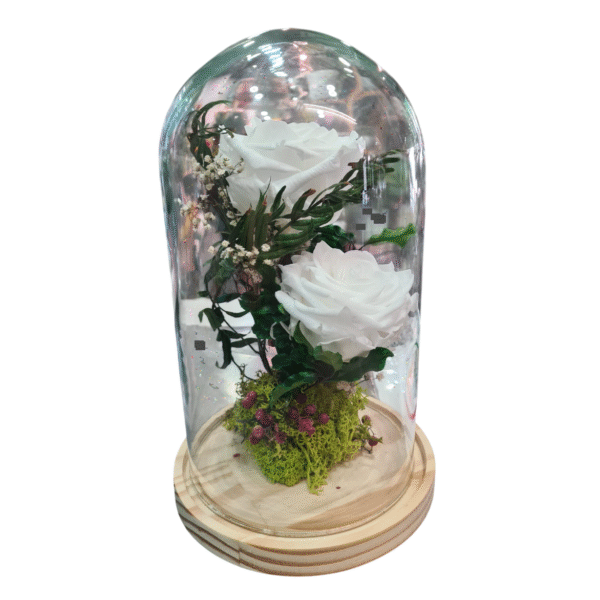 Rosa Eterna en Campana de Cristal (XL)