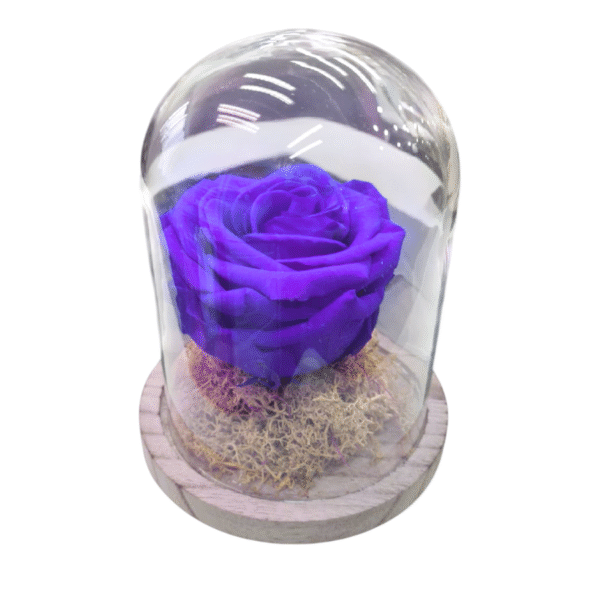 Rosa Eterna en Campana de Cristal (L)