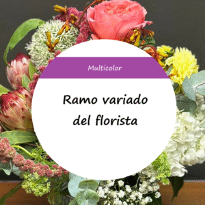Ramo del Florista - Multicolor