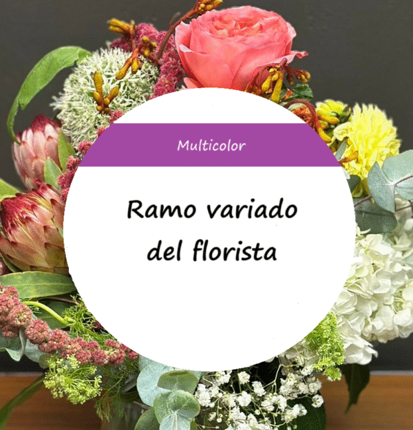 Ramo del Florista - Multicolor