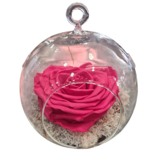 Rosa Eterna en Globo de Cristal