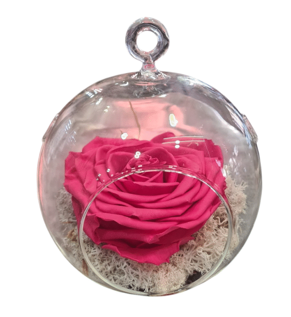 Rosa Eterna en Globo de Cristal