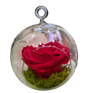 Rosa Eterna en Globo de Cristal