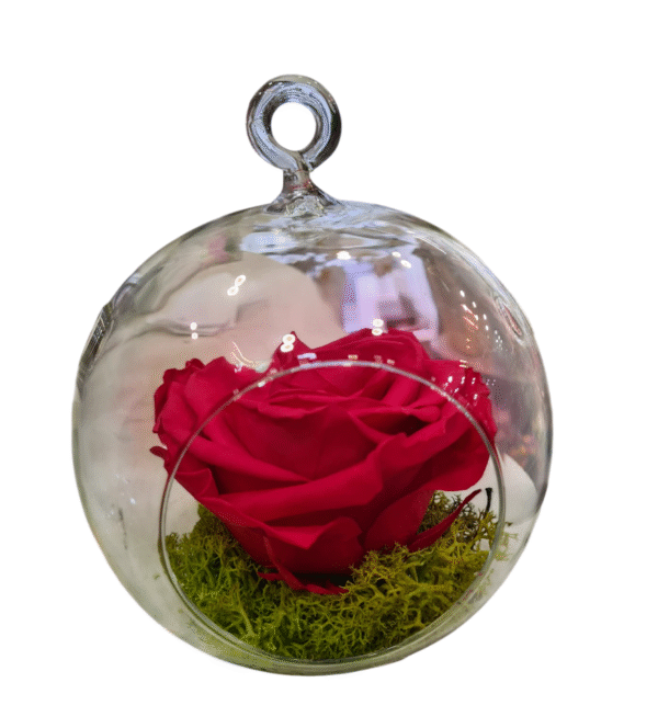 Rosa Eterna en Globo de Cristal