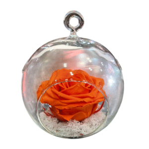 Rosa Eterna en Globo de Cristal