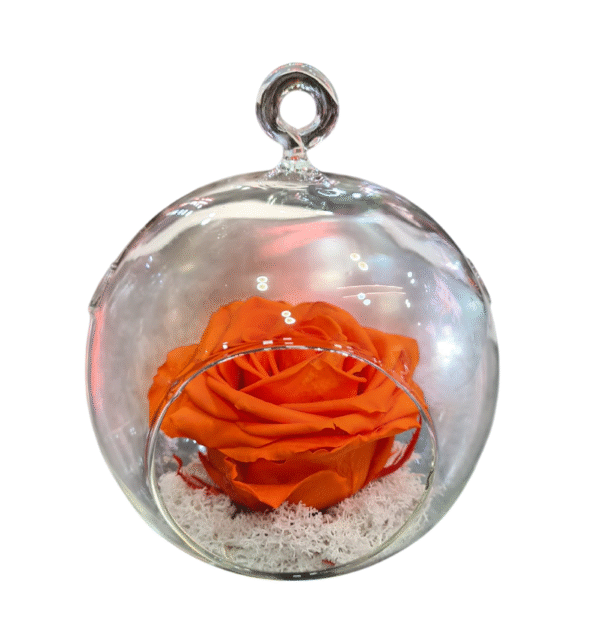 Rosa Eterna en Globo de Cristal