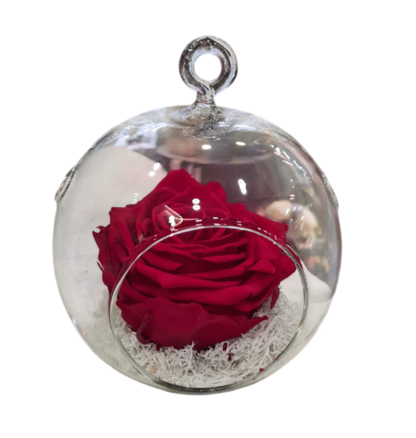 Rosa Eterna en Globo de Cristal