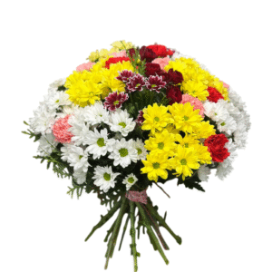 Jardín de Margaritas