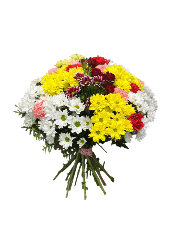 Jardín de Margaritas